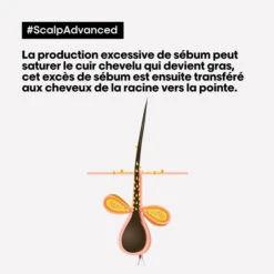 Argile Purifiante 2-en-1 Cheveux Gras Scalp Advanced L'Oréal Professionnel 500ML -Hair Pro Promos Magasin argile purifiante 2 en 1 cheveux gras scalp advanced l oreal professionnel 500ml 5