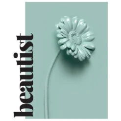 Duo Quotidien Démêlant Beautist Subtil -Hair Pro Promos Magasin duo quotidien demelant beautist subtil 3