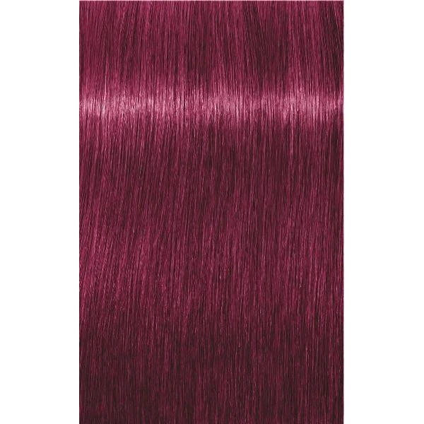 Schwarzkopf Igora Royal Mix 0.89 Teinte à Nuancer Rouge Violet 60 Ml 2 Schwarzkopf Igora Royal Mix 0.89 Teinte à Nuancer Rouge Violet 60 Ml – Image 2