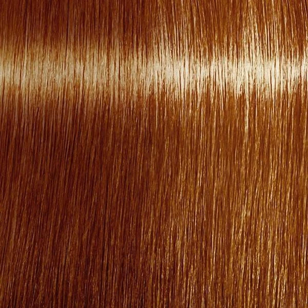 Mousse Colorante Coiffante Noisette Indola 200ML 2 Mousse Colorante Coiffante Noisette Indola 200ML – Image 2