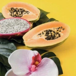 Pack Nutritif Back-bar Farmavita 5 Pack Nutritif Back-bar Farmavita -Hair Pro Promos Magasin pack nutritif back bar farmavita 2