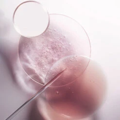 Recharge Bain Riche Cheveux Normaux à épais Chroma Absolu Kérastase 500ML -Hair Pro Promos Magasin recharge bain riche cheveux normaux a epais chroma absolu kerastase 500ml 6