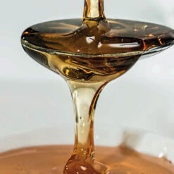 Shampooing Nutritif Back-bar Farmavita 250ML -Hair Pro Promos Magasin shampooing nutritif back bar farmavita 250ml 2