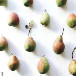 Shampooing Revitalisant Back-bar Farmavita 1L 5 Shampooing Revitalisant Back-bar Farmavita 1L -Hair Pro Promos Magasin shampooing revitalisant back bar farmavita 1l 2