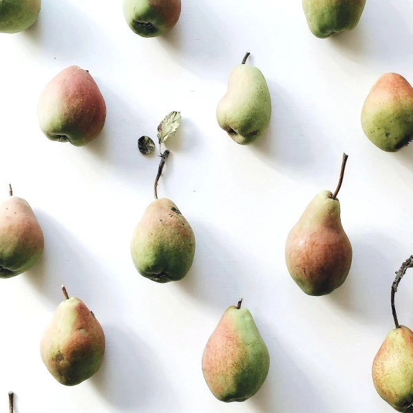 Shampooing Revitalisant Back-bar Farmavita 1L 3 Shampooing Revitalisant Back-bar Farmavita 1L – Image 3